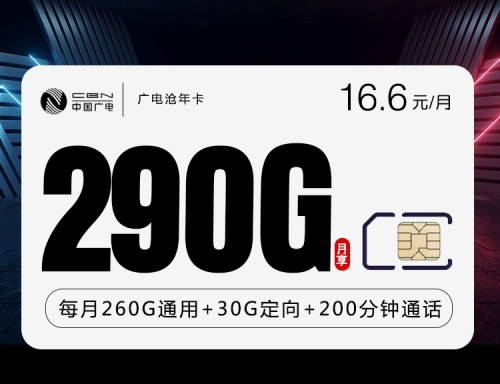 广电沧年卡200元一年包260G通用流量+30G定向流量+200分钟通话